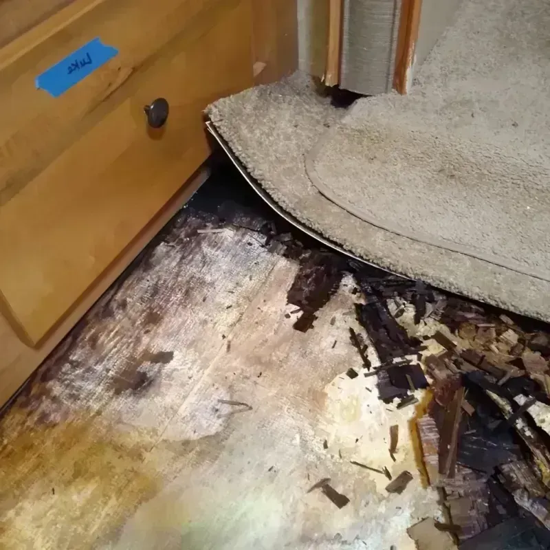 Wood Floor Water Damage in Sparta, NJ